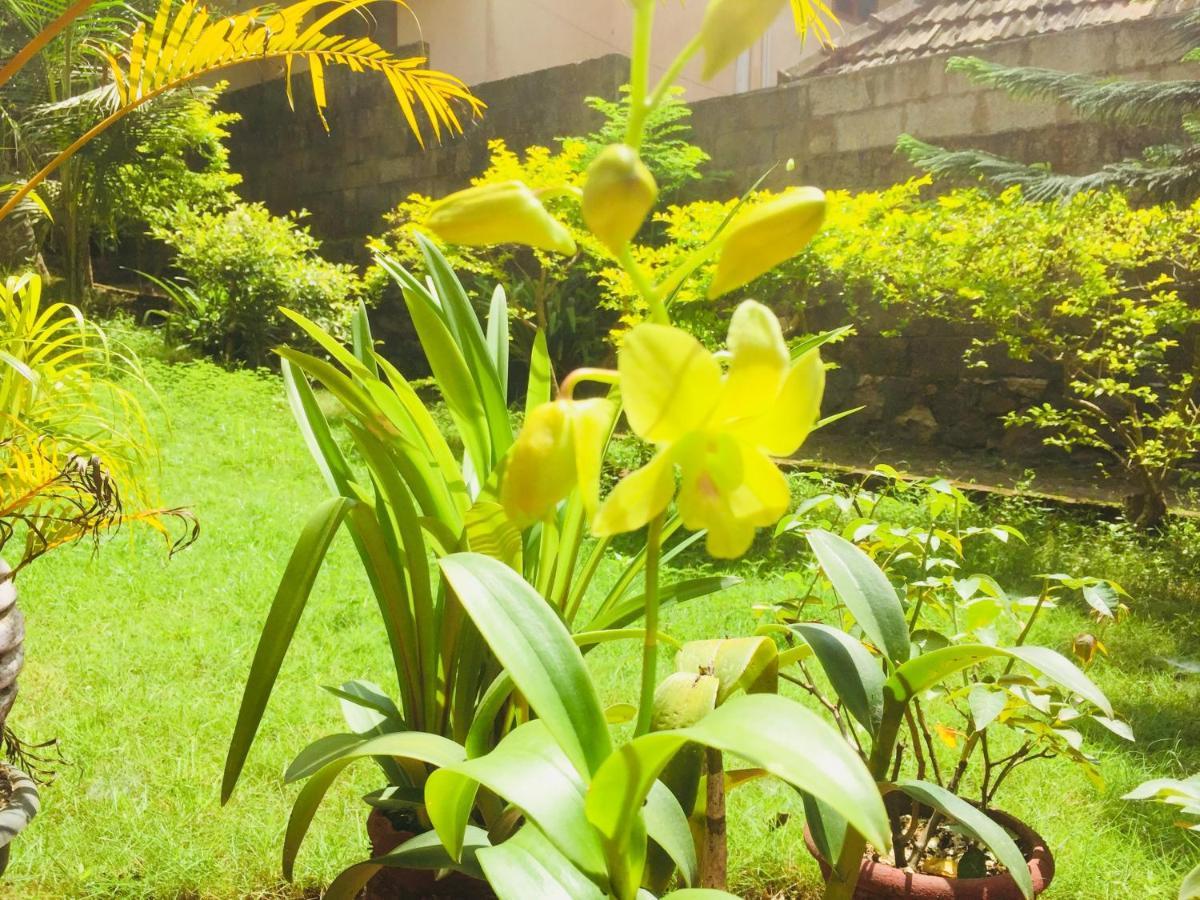 Ganesh House Ayurveda Homestay Kovalam Dış mekan fotoğraf